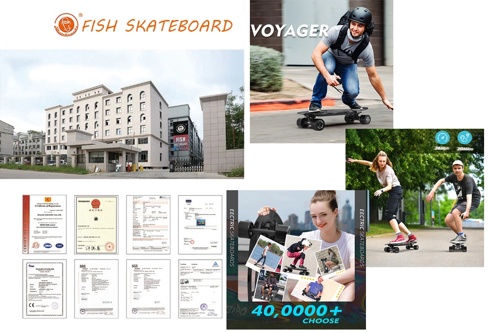 Big Power Fish Electric Skateboard 4 Wheels Waterproof Electric Board
