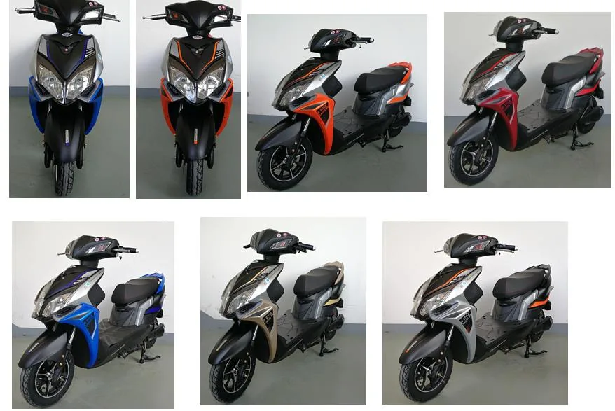 Smart High Speed 2 Wheeler Electric Scooter 800W Hub Motor for Hot Sale
