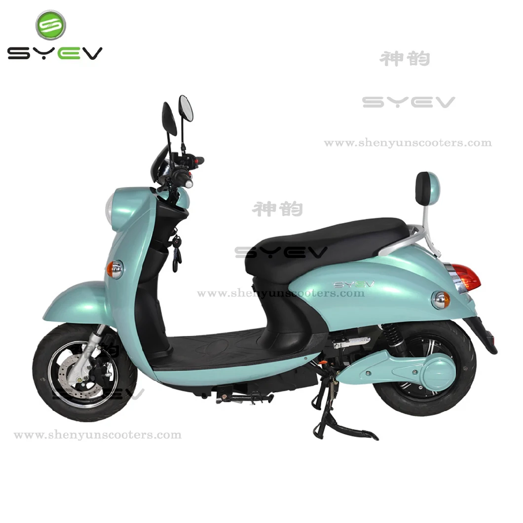 Syev Highway Smart Electric Scooter with Fat Tyre