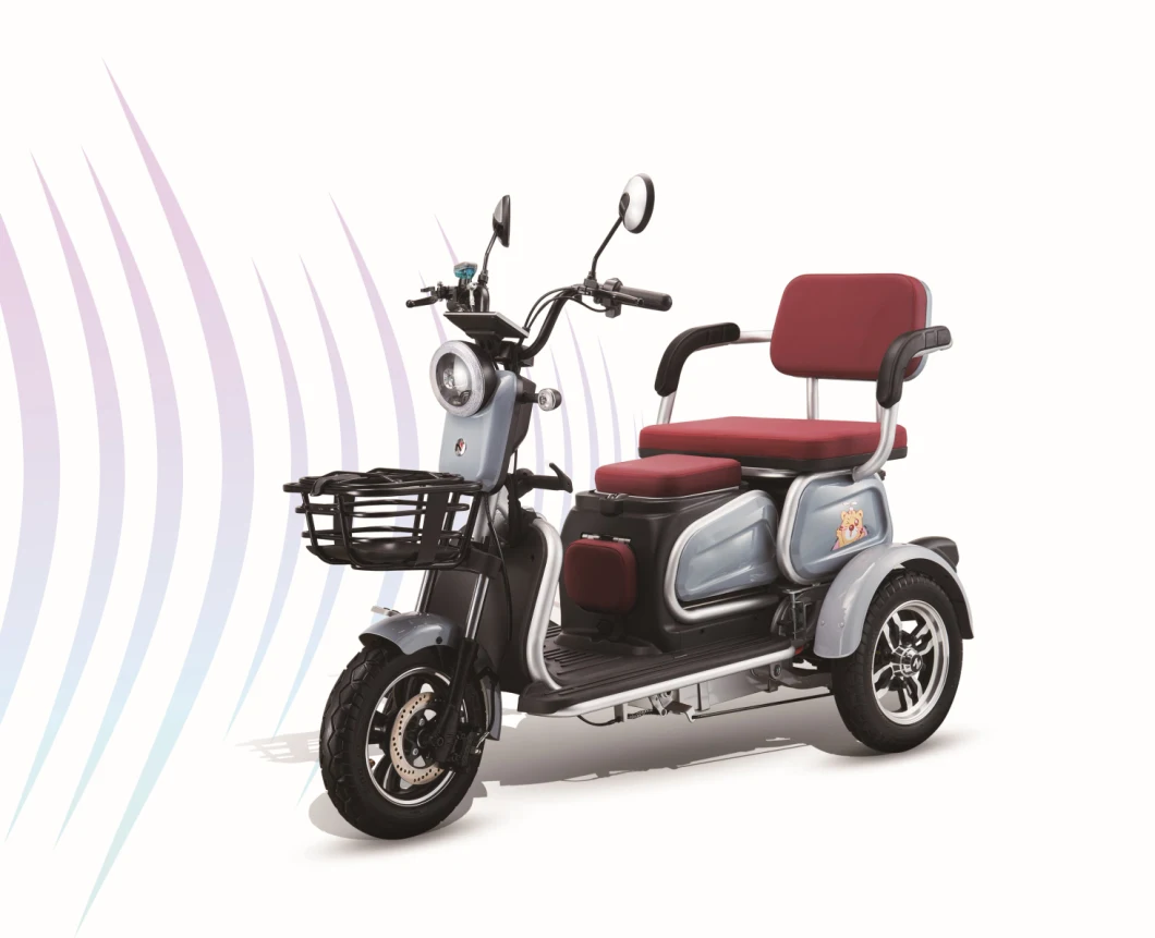 48V 500W Comfortable Safety City Eelectric Three-Wheeler Electric Tricycle