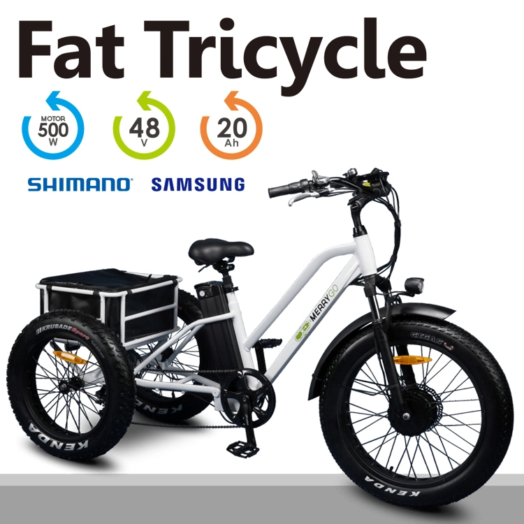 New Arrival Lithium Battery Electric Trike Tricycle Three Wheeler with LED Display and Fat Tyre