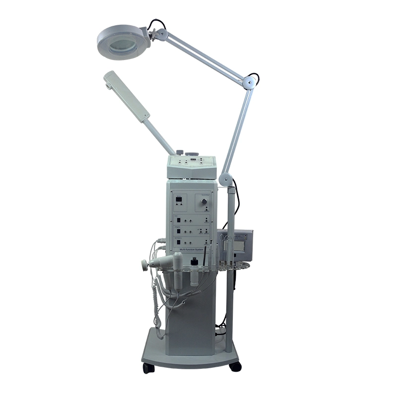 Multifunction Facial Beauty Machine Ozone Facial Steamer with Magnifying Lamp