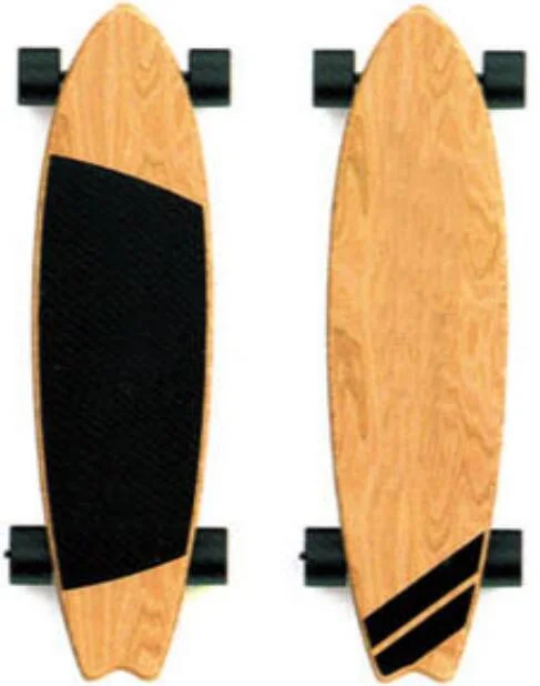Longboard Electric Skateboard