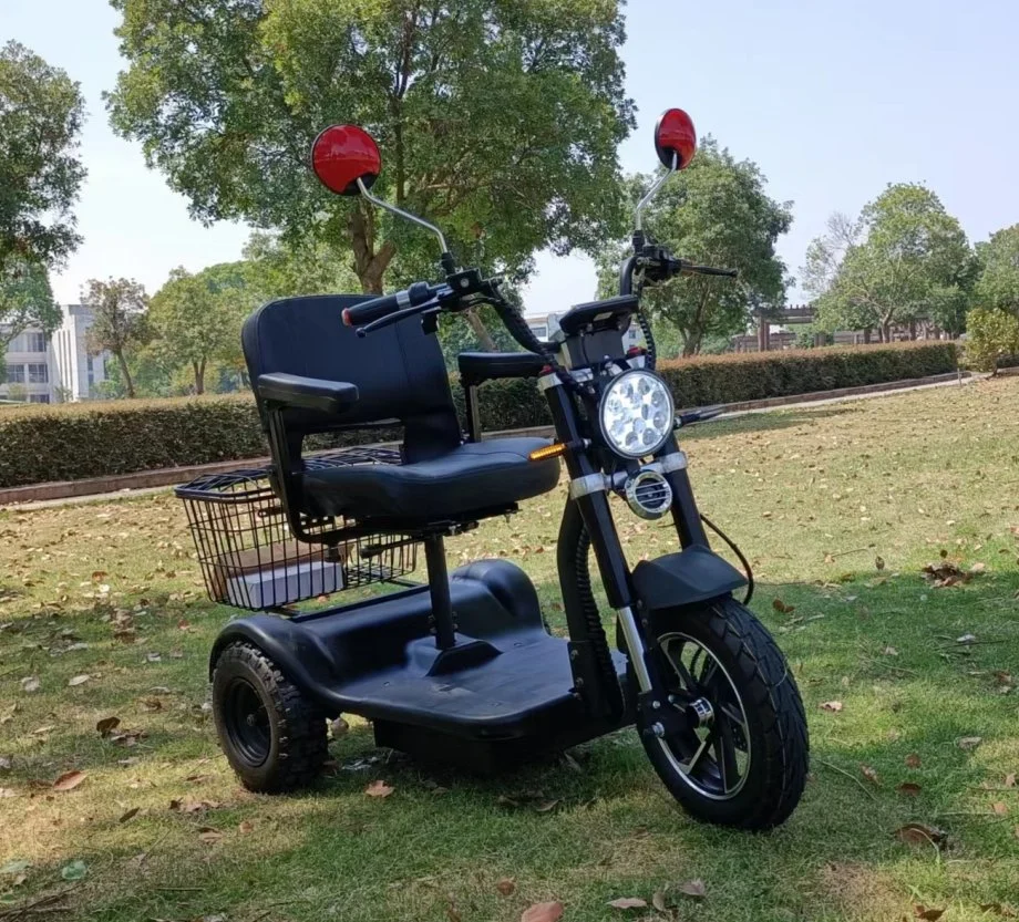 600W Differential Motor 60kms 3 Wheel Electric Mobility Scooter