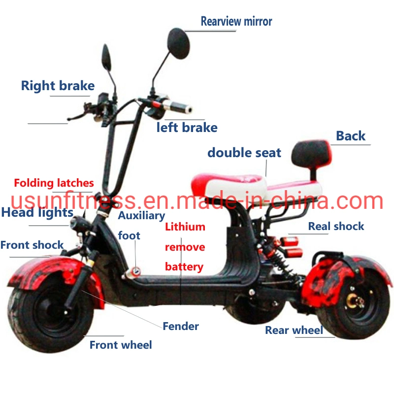 3 Wheels Electric Motorcycles/Tricycle/Trike/Scooter for Kids and Adult