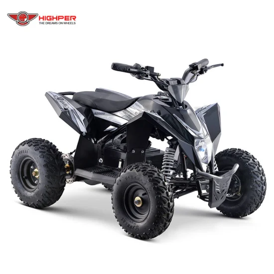 Electric Mini ATV 4 Wheeler for Kids Quad Bike 1000W36V/1300W 48V