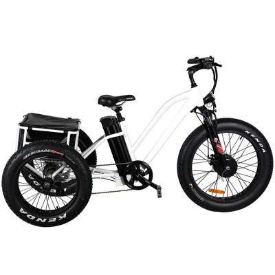 New Arrival Lithium Battery Electric Trike Tricycle Three Wheeler with LED Display and Fat Tyre