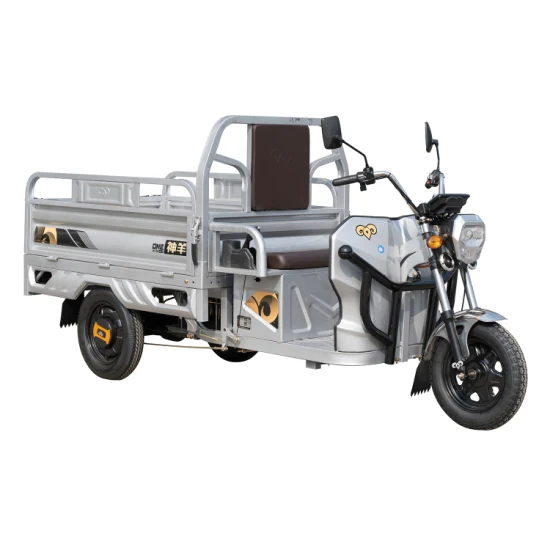 Hot Sale Electric Three Wheeler for Cargo